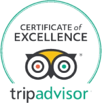 A top banner showing a &ldquo;Certificate of Excellence&rdquo; seal with a circular turquoise outline and a TripAdvisor logo beneath, all on a black background.