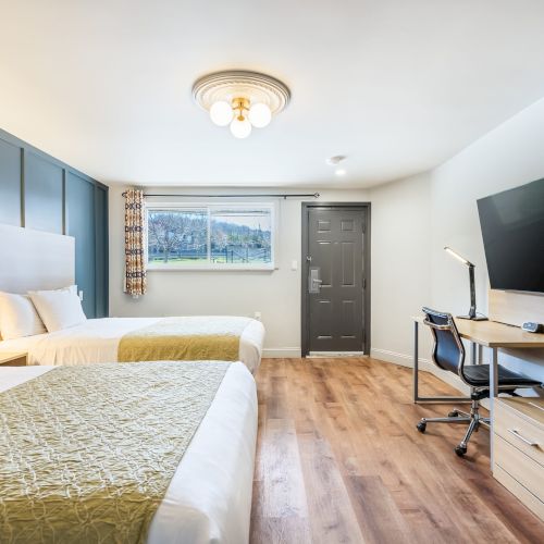 A modern bedroom and living area in an open-plan space, with a yellow bed, large windows, and light wood furniture, creating a bright, airy vibe.